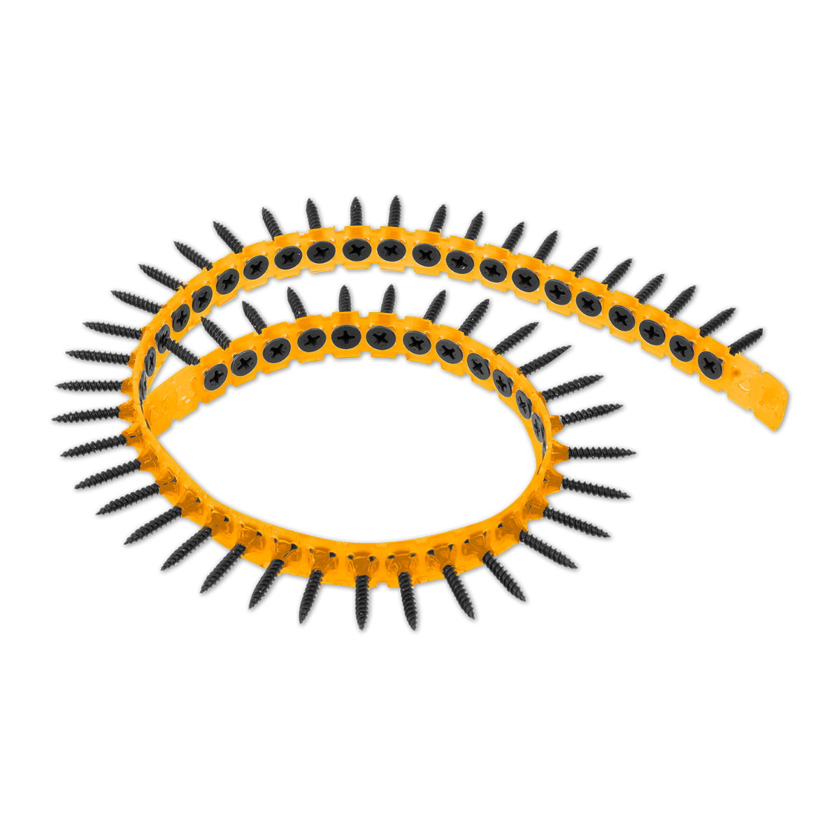 Ingco Collated Drywall Screw #6 x 25mm