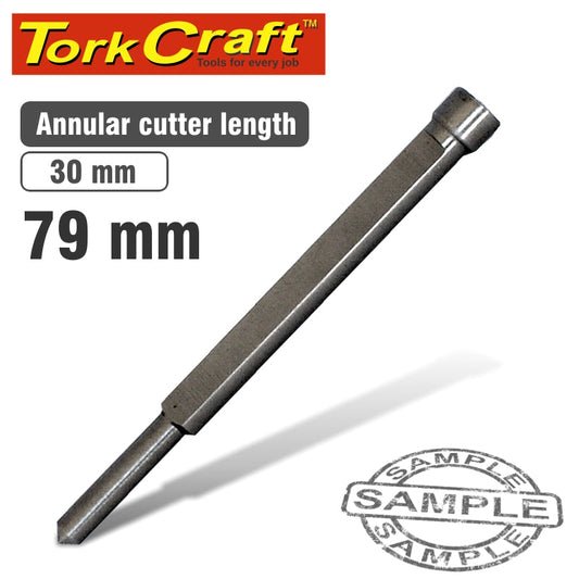 Pilot Pin 6.3 X 79Mm For Broach Cutters 30Mm freeshipping - Africa Tool Distributors